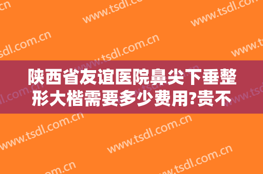 陕西省友谊医院鼻尖下垂整形大楷需要多少费用?贵不贵?