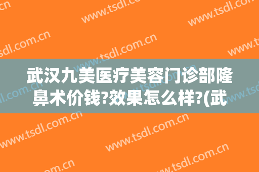 武汉九美医疗美容门诊部隆鼻术价钱?效果怎么样?(武汉九洲整形医院)