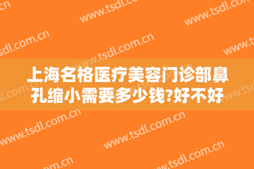 上海名格医疗美容门诊部鼻孔缩小需要多少钱?好不好?