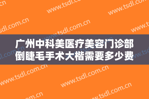 广州中科美医疗美容门诊部倒睫毛手术大楷需要多少费用?效果怎么样?
