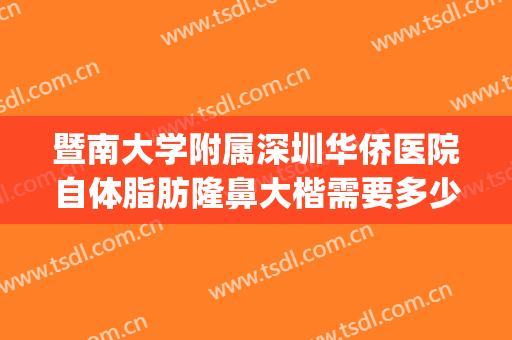 暨南大学附属深圳华侨医院自体脂肪隆鼻大楷需要多少钱?贵不贵?(暨南大学附属深圳华侨医院美容科)