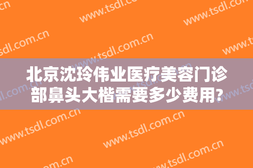 北京沈玲伟业医疗美容门诊部鼻头大楷需要多少费用?效果怎么样?