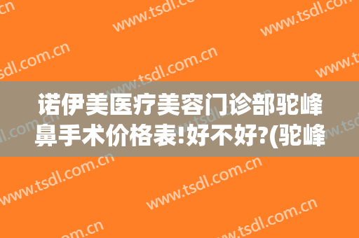 诺伊美医疗美容门诊部驼峰鼻手术价格表!好不好?(驼峰鼻矫正手术一般价格)