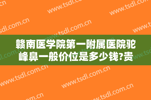 赣南医学院第一附属医院驼峰鼻一般价位是多少钱?贵不贵?