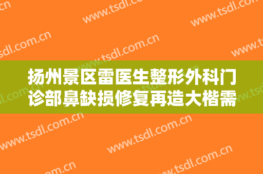 扬州景区雷医生整形外科门诊部鼻缺损修复再造大楷需要多少费用?效果怎么样?