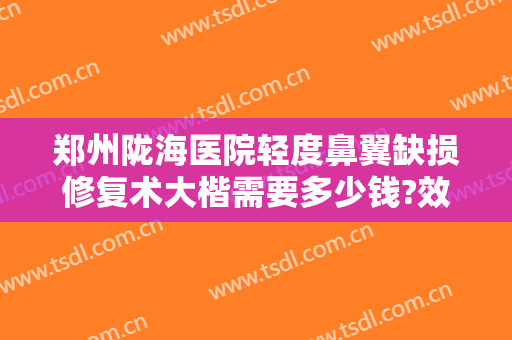 郑州陇海医院轻度鼻翼缺损修复术大楷需要多少钱?效果怎么样?