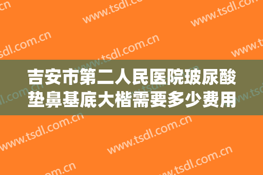 吉安市第二人民医院玻尿酸垫鼻基底大楷需要多少费用?可靠吗?(玻尿酸垫鼻基底多少钱)