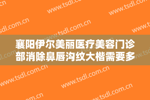 襄阳伊尔美丽医疗美容门诊部消除鼻唇沟纹大楷需要多少费用?贵不贵?