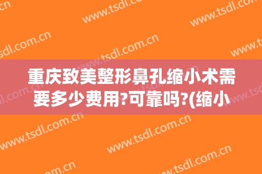 重庆致美整形鼻孔缩小术需要多少费用?可靠吗?(缩小鼻翼手术费)