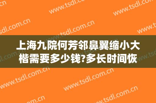 上海九院何芳邻鼻翼缩小大楷需要多少钱?多长时间恢复?(上海九院鼻翼缩小术哪个好)