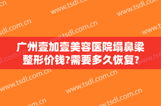 广州壹加壹美容医院塌鼻梁整形价钱?需要多久恢复?
