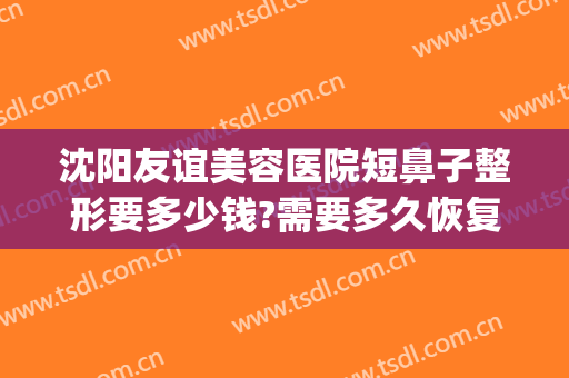 沈阳友谊美容医院短鼻子整形要多少钱?需要多久恢复?(沈阳鼻子整形哪个医生好)