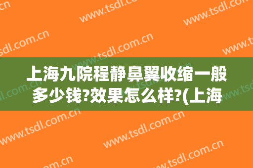 上海九院程静鼻翼收缩一般多少钱?效果怎么样?(上海九院缩鼻翼手术)