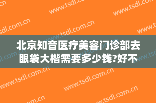 北京知音医疗美容门诊部去眼袋大楷需要多少钱?好不好?(北京去眼袋最好的医美医院)