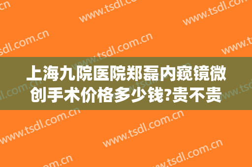 上海九院医院郑磊内窥镜微创手术价格多少钱?贵不贵?(上海九院超声刀做一次多少钱)