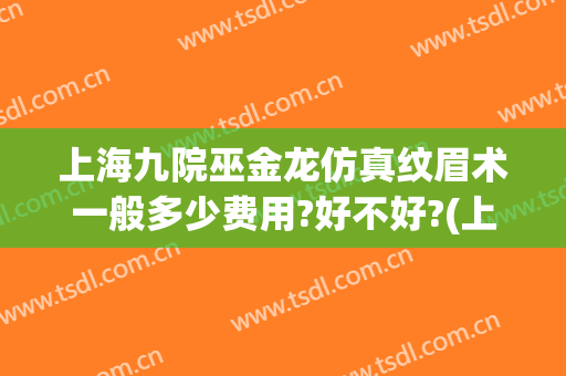 上海九院巫金龙仿真纹眉术一般多少费用?好不好?(上海九院提眉术价格)