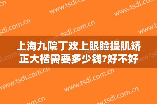上海九院丁欢上眼睑提肌矫正大楷需要多少钱?好不好?
