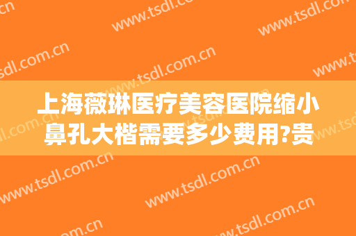 上海薇琳医疗美容医院缩小鼻孔大楷需要多少费用?贵不贵?(上海薇琳整形医院地址)