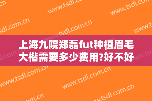上海九院郑磊fut种植眉毛大楷需要多少费用?好不好?