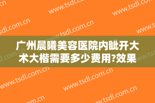 广州晨曦美容医院内眦开大术大楷需要多少费用?效果怎么样?