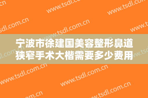 宁波市徐建国美容整形鼻道狭窄手术大楷需要多少费用?好不好?