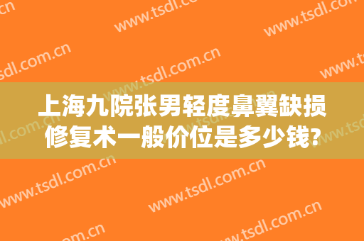 上海九院张男轻度鼻翼缺损修复术一般价位是多少钱?多长时间恢复?(上海九院缩鼻翼多少钱)