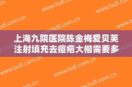 上海九院医院陈金梅爱贝芙注射填充去痘疤大楷需要多少费用?有哪些优势?