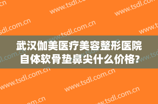 武汉伽美医疗美容整形医院自体软骨垫鼻尖什么价格?好不好?(武汉隆鼻的一般费用)