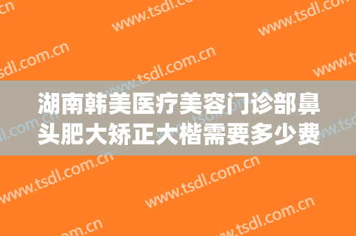 湖南韩美医疗美容门诊部鼻头肥大矫正大楷需要多少费用?好不好?(湖南长沙韩美整形美容医院)