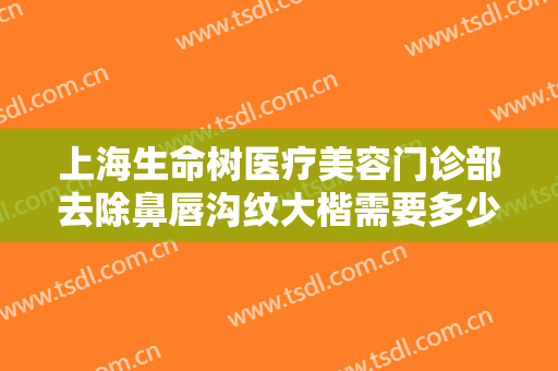 上海生命树医疗美容门诊部去除鼻唇沟纹大楷需要多少钱?效果怎么样?