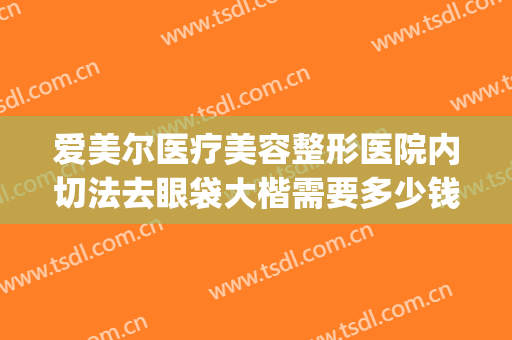 爱美尔医疗美容整形医院内切法去眼袋大楷需要多少钱?怎么样?(整形医院割眼袋多少钱)