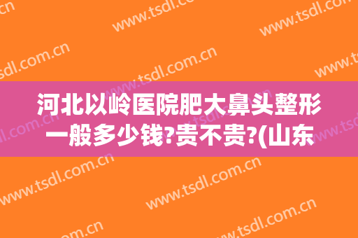 河北以岭医院肥大鼻头整形一般多少钱?贵不贵?(山东爱容整形医院)