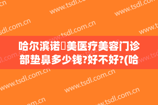 哈尔滨诺嬄美医疗美容门诊部垫鼻多少钱?好不好?(哈尔滨诺美医疗美容怎么样)