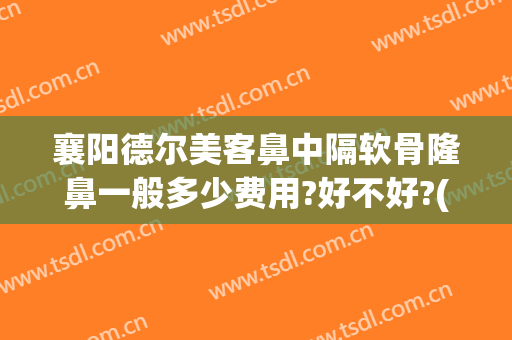襄阳德尔美客鼻中隔软骨隆鼻一般多少费用?好不好?(荆州耳软骨隆鼻需要多钱)