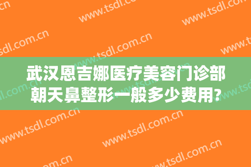 武汉恩吉娜医疗美容门诊部朝天鼻整形一般多少费用?好不好?(恩吉娜医疗美容医院怎么样)