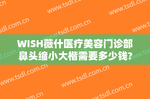 WISH薇什医疗美容门诊部鼻头缩小大楷需要多少钱?靠谱吗?