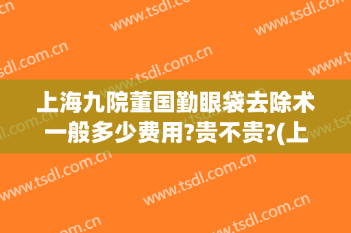 上海九院董国勤眼袋去除术一般多少费用?贵不贵?(上海九院眼袋切除术需要多少钱)