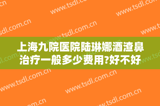 上海九院医院陆琳娜酒渣鼻治疗一般多少费用?好不好?
