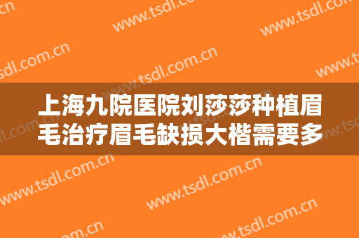 上海九院医院刘莎莎种植眉毛治疗眉毛缺损大楷需要多少费用?好不好?