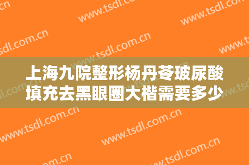 上海九院整形杨丹苓玻尿酸填充去黑眼圈大楷需要多少钱?效果怎么样?