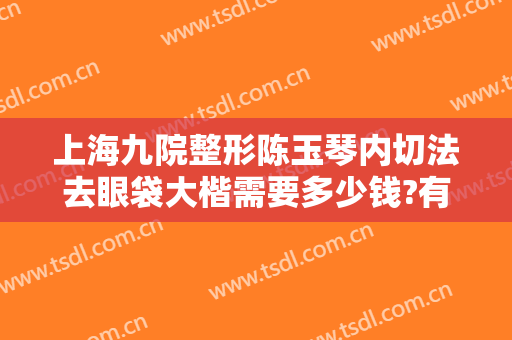 上海九院整形陈玉琴内切法去眼袋大楷需要多少钱?有哪些优势?