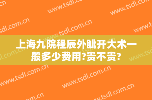 上海九院程辰外眦开大术一般多少费用?贵不贵?