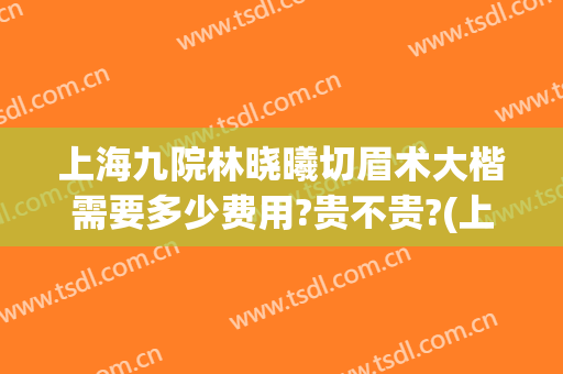 上海九院林晓曦切眉术大楷需要多少费用?贵不贵?(上海九院林晓曦亲自手术费用)