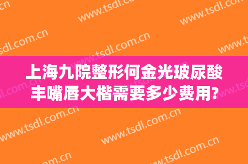 上海九院整形何金光玻尿酸丰嘴唇大楷需要多少费用?多长时间恢复?(上海九院整下巴专家)