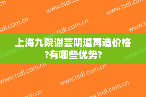 上海九院谢芸阴道再造价格?有哪些优势?