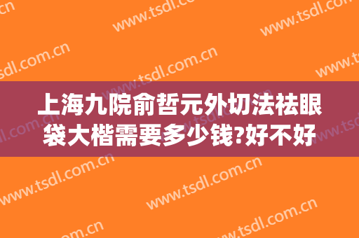 上海九院俞哲元外切法祛眼袋大楷需要多少钱?好不好?(上海第九整形美容医院)
