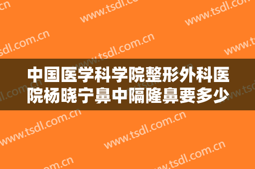 中国医学科学院整形外科医院杨晓宁鼻中隔隆鼻要多少钱?需要多久恢复?