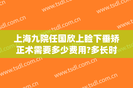 上海九院任国欣上睑下垂矫正术需要多少费用?多长时间恢复?(上海九院做上睑下垂手术多少钱)