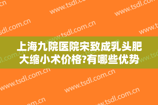上海九院医院宋致成乳头肥大缩小术价格?有哪些优势?