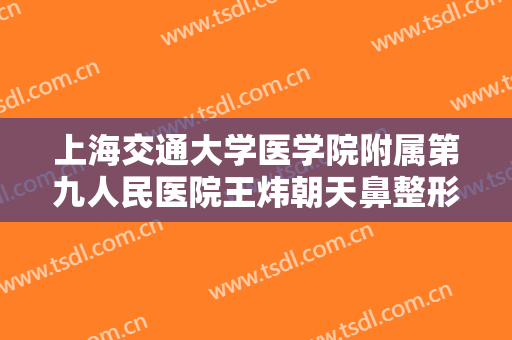 上海交通大学医学院附属第九人民医院王炜朝天鼻整形一般多少费用?怎么样?